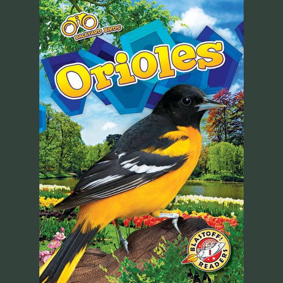 Orioles - cover