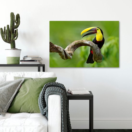 Toile Peinture Toucan | 60 x 40 cm | Décoration murale