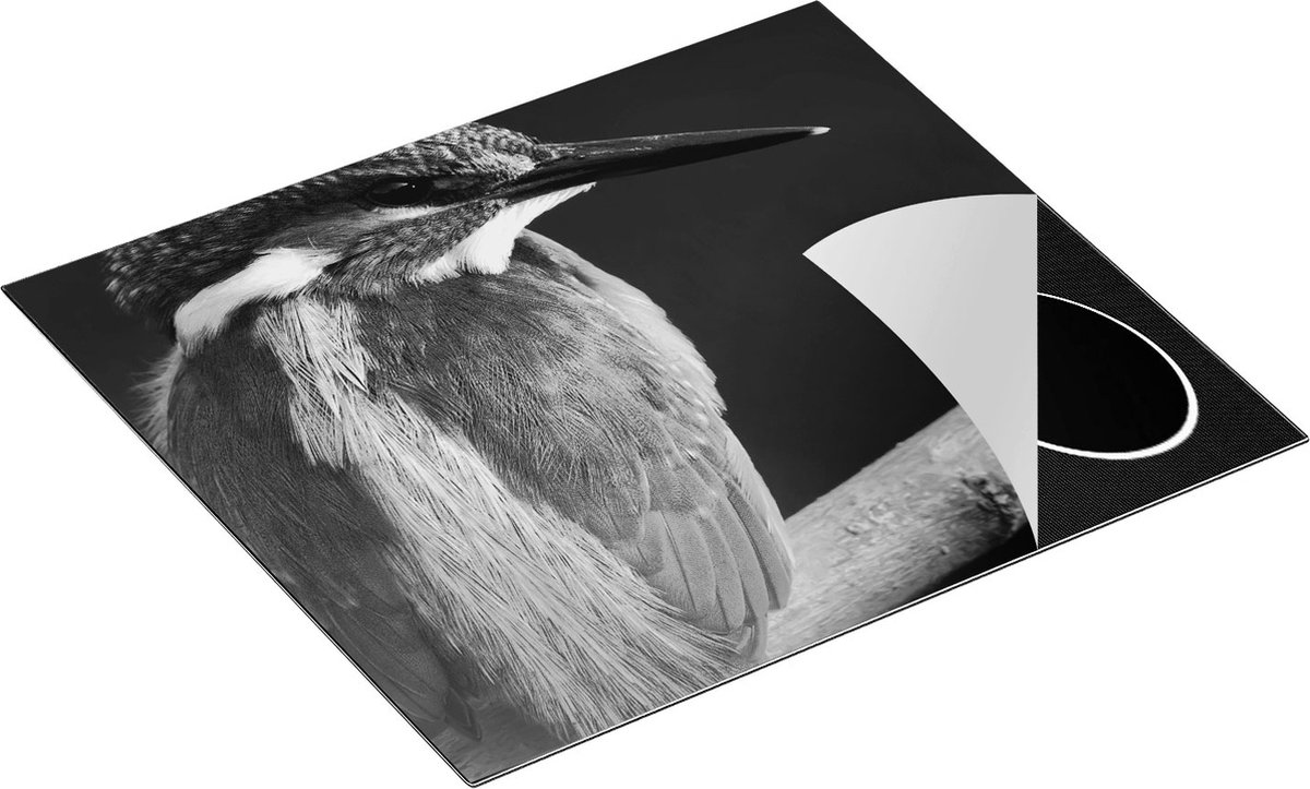 Chefcare Inductie Beschermer Blauwe IJsvogel op een Tak - Zwart Wit - 59x51 cm - Afdekplaat Inductie - Kookplaat Beschermer - Inductie Mat