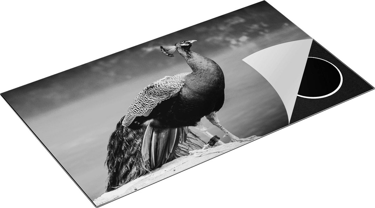 Chefcare Inductie Beschermer Kleurrijke Pauw bij het Water - Zwart Wit - 91,2x52 cm - Afdekplaat Inductie - Kookplaat Beschermer - Inductie Mat