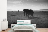 Behang - Fotobehang Silhouet van een olifant in de Serengeti in zwart-wit - Breedte 600 cm x hoogte 400 cm