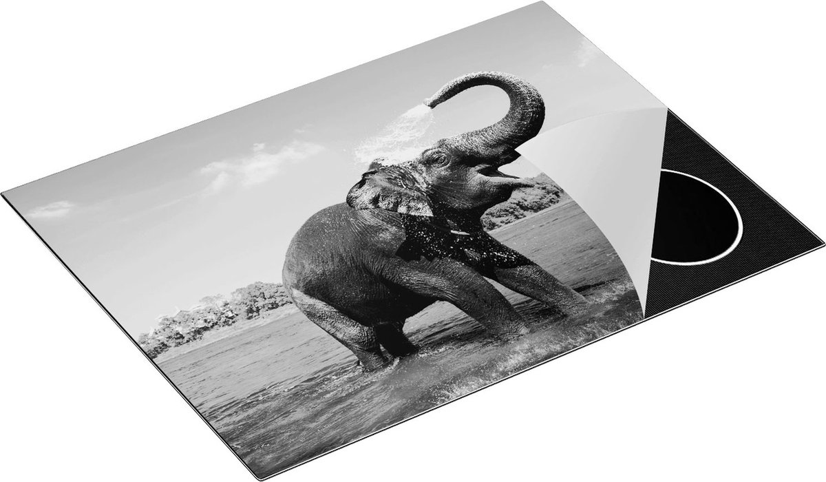 Chefcare Inductie Beschermer Vrolijke Olifant in het Water - Zwart Wit - 70x52 cm - Afdekplaat Inductie - Kookplaat Beschermer - Inductie Mat