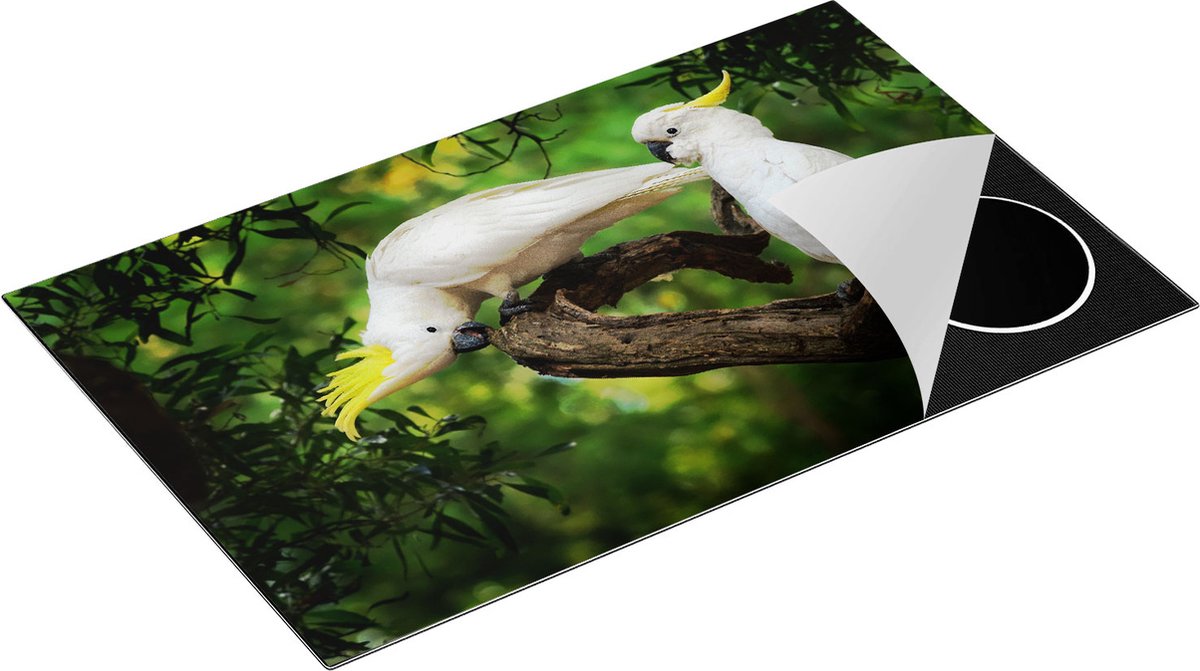 Chefcare Inductie Beschermer Twee Witte Kaketoes in de Bomen - 85x55 cm - Afdekplaat Inductie - Kookplaat Beschermer - Inductie Mat