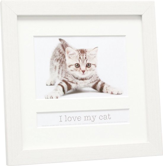 Deknudt Frames multifotolijst - wit - CAT - foto 10x15 cm met tekstvak