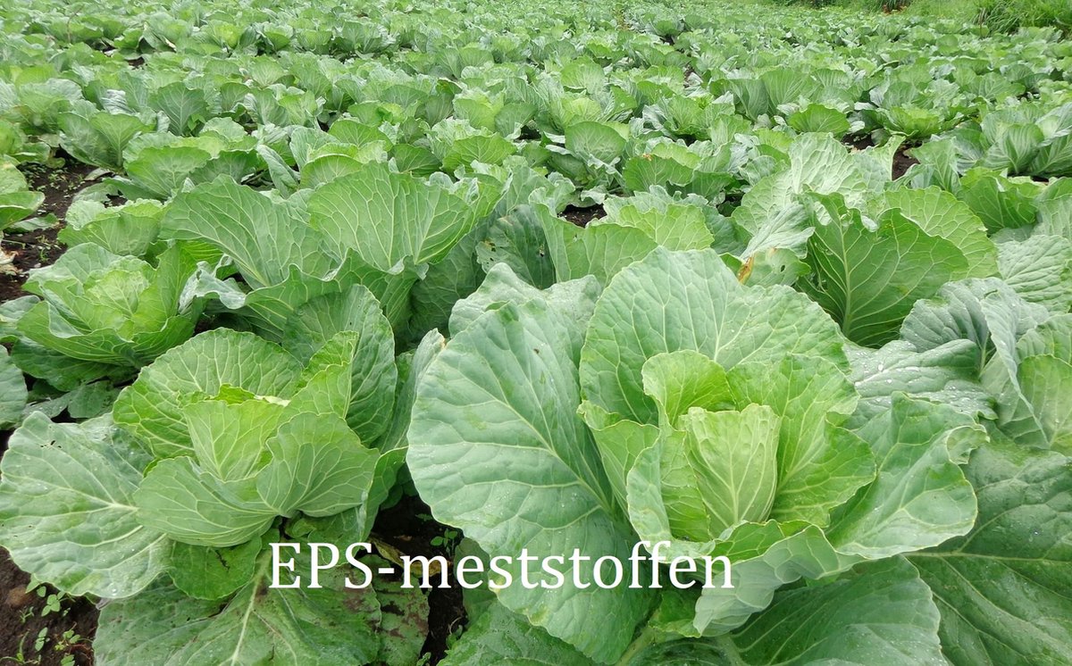 EPS groei plantenvoeding 5 liter