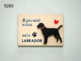 Magneet love and a Labrador