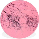 WallCircle - Wall Circle - Wall Circle Indoor - Fleurs - Branches - Été - 150x150 cm - Décoration murale - Peintures Ronds