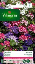 Vilmorin- Verbena- Brio gemengd- V244