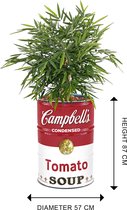 Rétro|Vintage| Jardinière industrielle de soupe Campbell de 200/65 litres (Andy Warhold) avec bac. Pour l'intérieur et l'extérieur| 57x87cm