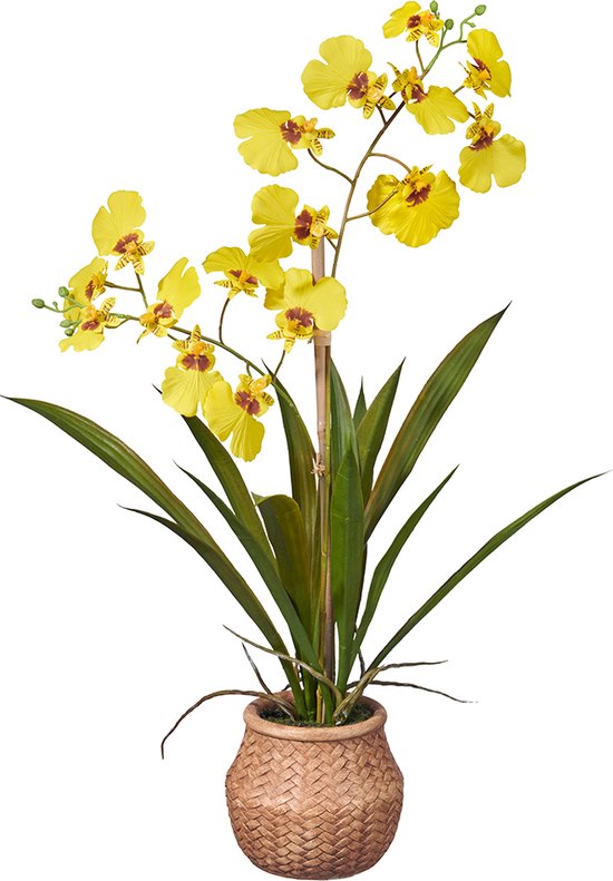 Kunstplant wilde Orchidee 2-tak geel H43cm - HTT Decorations