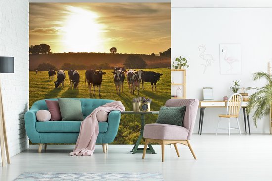 Behang - Fotobehang Koeien - Zon - Licht - Breedte 300 cm x hoogte 300 cm