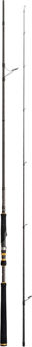 Zeebaarshengel - Cinnetic - Raycast - XBR - Seabass - 3.60m - 30-70gram