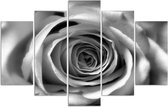 Trend24 - Canvas Schilderij - Rose Flower - Vijfluik - Bloemen - 100x70x2 cm - Grijs