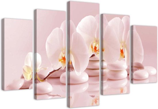 Trend24 - Canvas Schilderij - Orchid Op Een Rots - Vijfluik - Bloemen - 150x100x2 cm - Roze