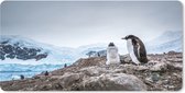 Muismat XXL - Bureau onderlegger - Bureau mat - Pinguïns staan op een rots op Antarctica - 90x45 cm - XXL muismat