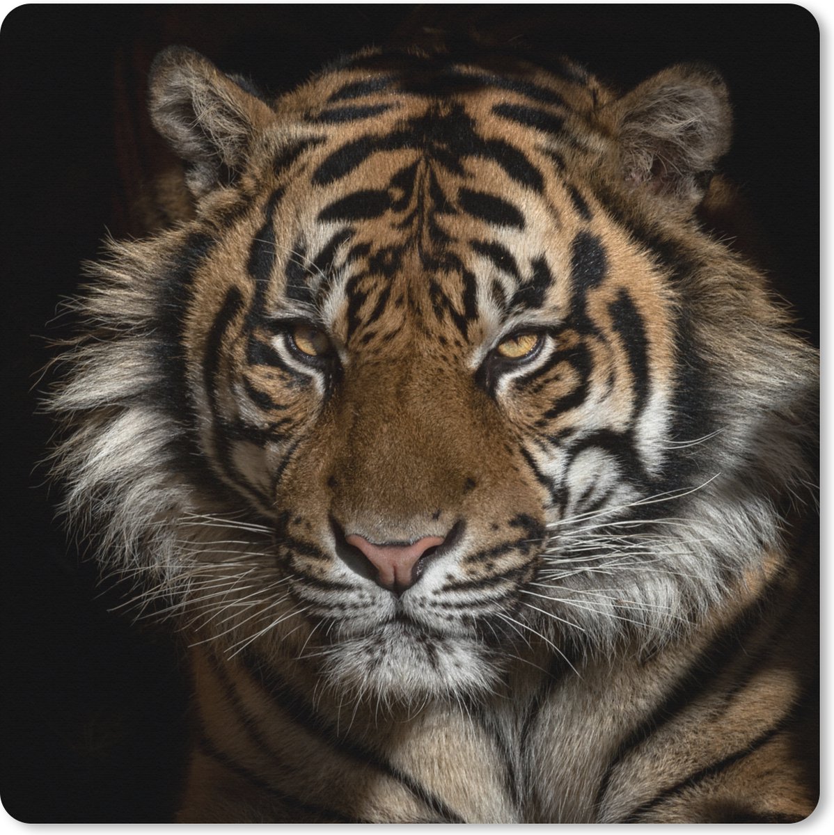 Muismat XXL 40x40 cm - Bureau onderlegger - Bureau mat Tijger - Wilde dieren - Portret - Bureaumat - Gaming mousepad xl - Bureaulegger groot - Computer deskmat