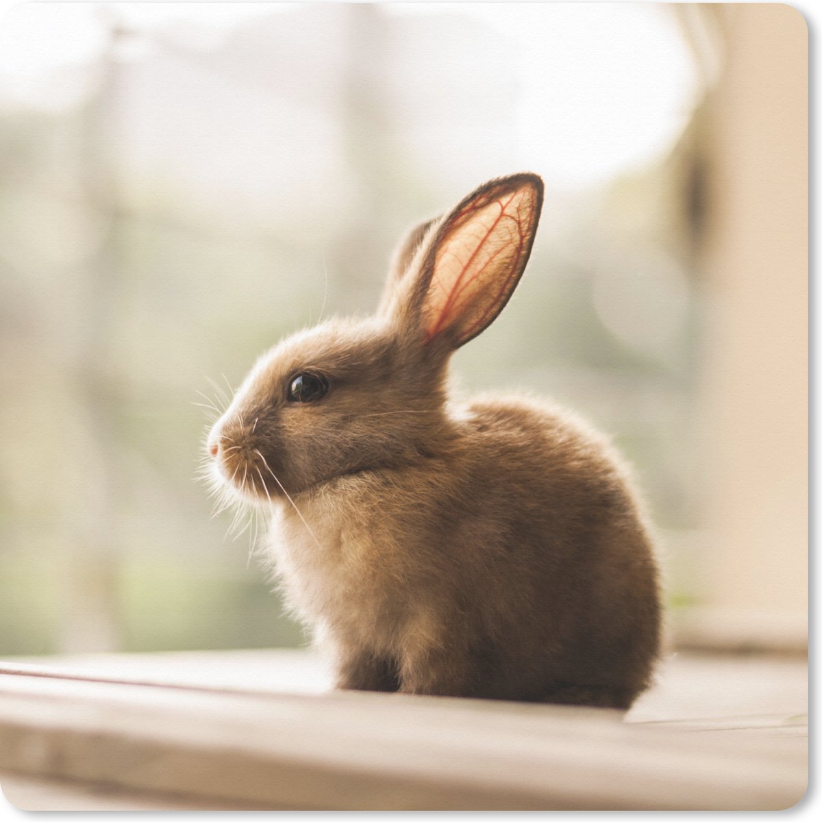 Muismat XXL 40x40 cm - Bureau onderlegger - Bureau mat Konijn - Baby - Dier - Bureaumat - Gaming mousepad xl - Bureaulegger groot - Computer deskmat