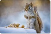 Tapis de souris XXL - Sous-main - Tapis de bureau - Ecureuil - Noix - Neige - Hiver - Rongeurs - Saisons - 120x80 cm - Tapis de souris XXL