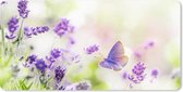 Muismat XXL - Bureau onderlegger - Bureau mat - Lavendel - Vlinder - Bloemen - Natuur - 100x50 cm - XXL muismat
