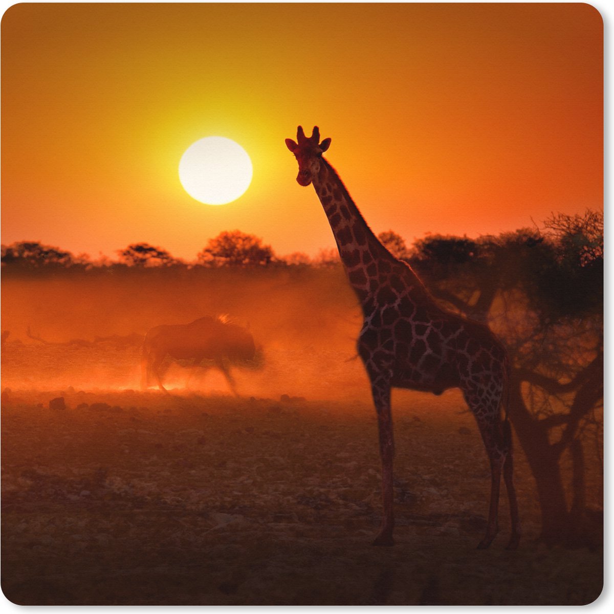 Muismat XXL 40x40 cm - Bureau onderlegger - Bureau mat Giraffe - Zon - Savanne - Bureaumat - Gaming mousepad xl - Bureaulegger groot - Computer deskmat