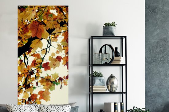 Poster Arbres - Feuilles d'automne - Nature - 80x160 cm