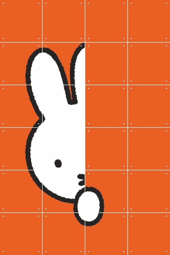 IXXI Miffy Hide & Seek Orange - Dick Bruna - Wanddecoratie