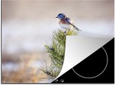 KitchenYeah® Inductie beschermer 60x52 cm - Vogel op een tak van een boom - Kookplaataccessoires - Afdekplaat voor kookplaat - Inductiebeschermer - Inductiemat - Inductieplaat mat