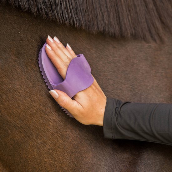 Peigne à Curry En Caoutchouc Horka - Pour Chevaux, Disponible En Noir, Violet, Rose Et Bleu Clair