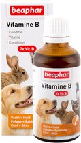 Beaphar Vitamine B-complex - voedingssupplement - 50 ml