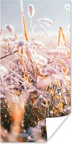 Poster Gras - Zon - Winter - Sneeuw - 75x150 cm