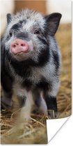 Affiche Cochon - Animaux - Petit Cochon - 75x150 cm