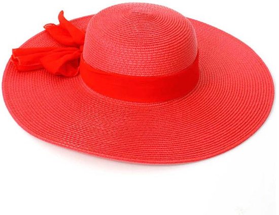 Wordt erger wervelkolom Per ongeluk Rode dames hoed met strik | bol.com
