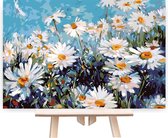 Schilderen Op Nummer Volwassenen - Do It Yourself Paintings - Lentekriebels - Zonnebloemen - Bloemen - Zomer - Lente - Landschap - 40x50 cm - Canvas