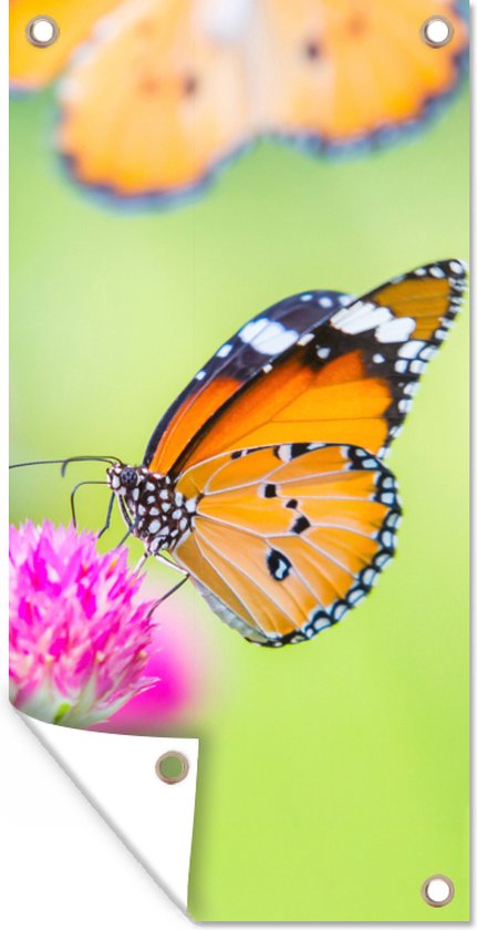 Tuinposter - Vlinders - Dieren - Bloemen - Planten - Tuinposter vlinder - 30x60 cm - Tuindoek