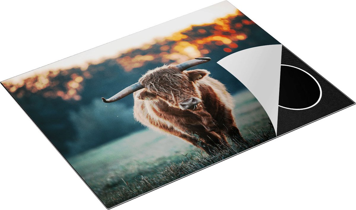 Chefcare Inductie Beschermer Schotse Hooglander in het Veld bij Zonsondergang - 77x59 cm - Afdekplaat Inductie - Kookplaat Beschermer - Inductie Mat