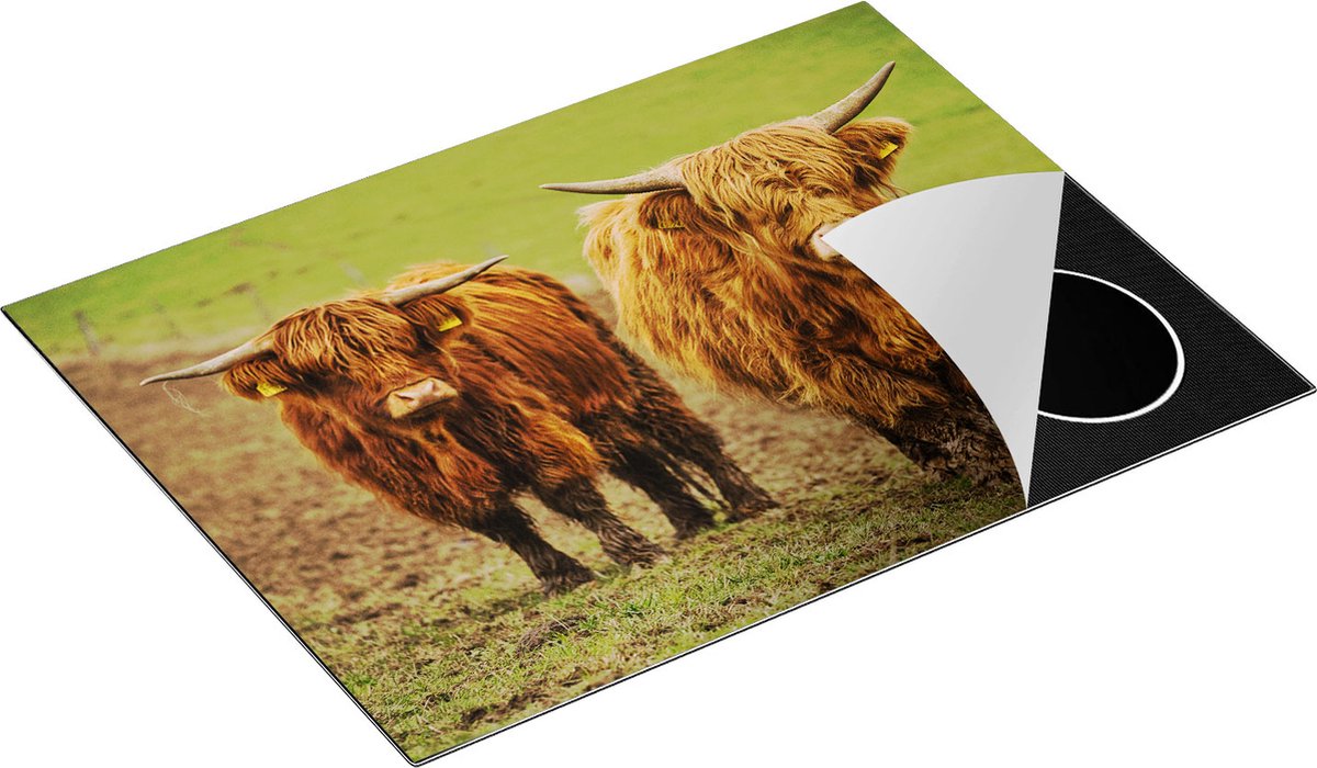 Chefcare Inductie Beschermer Twee Schotse Hooglanders in de Weide - 71x52 cm - Afdekplaat Inductie - Kookplaat Beschermer - Inductie Mat