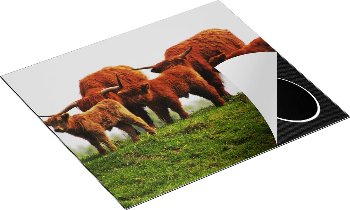 Chefcare Inductie Beschermer Schotse Hooglander Familie - 59x52 cm - Afdekplaat Inductie - Kookplaat Beschermer - Inductie Mat