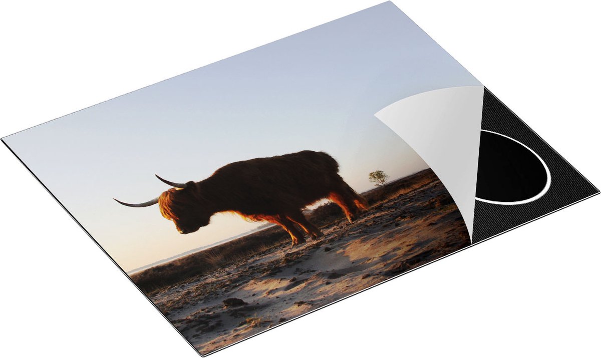 Chefcare Inductie Beschermer Twee Schotse Hooglanders op het Strand - 65x52 cm - Afdekplaat Inductie - Kookplaat Beschermer - Inductie Mat