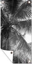 Affiche de jardin - Jardin - Palmier - Feuilles - Été - 30x60 cm - Peinture de jardin - Décoration murale - Toile de jardin - Affiche d'extérieur