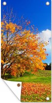 Tuinposter - Boom - Herfst - Natuur - Gras - Bladeren - Tuindecoratie - 40x80 cm - Tuindoek