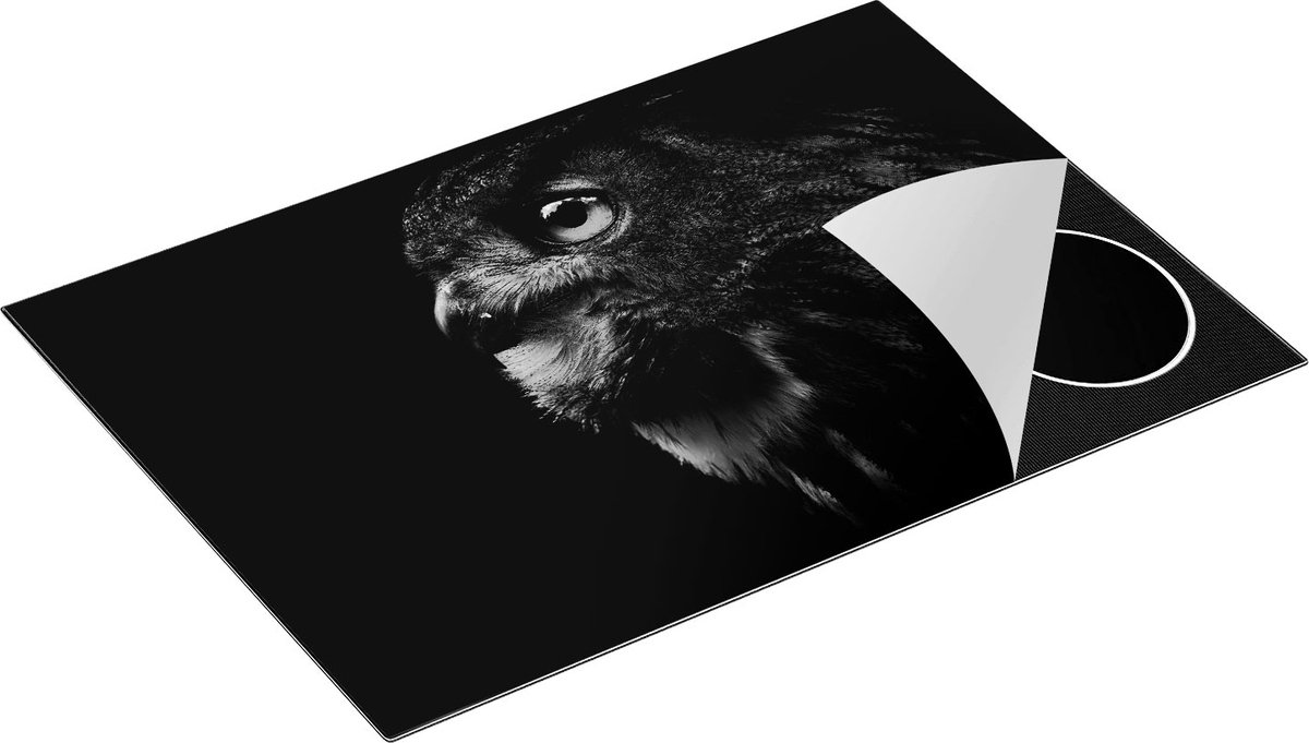 Chefcare Inductie Beschermer Zwarte Uil met Gouden Ogen - Zwart Wit - 75x50 cm - Afdekplaat Inductie - Kookplaat Beschermer - Inductie Mat