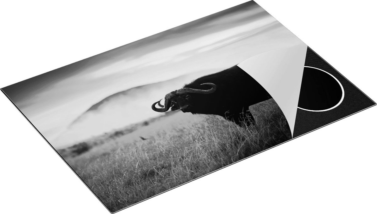 Chefcare Inductie Beschermer Buffel in het Gras - Zwart Wit - 77x51 cm - Afdekplaat Inductie - Kookplaat Beschermer - Inductie Mat