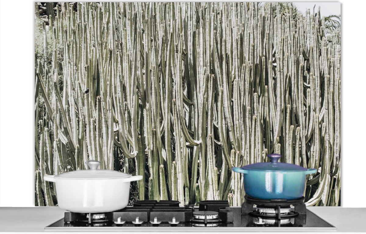 Spatscherm - Spatwand - Cactus - Natuur - Groen - Plant - Keuken decoratie - 120x80 cm