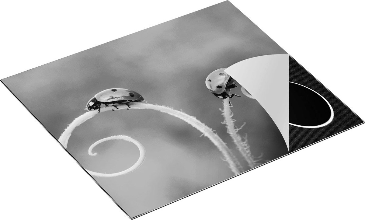 Chefcare Inductie Beschermer Twee Lieveheersbeestjes in het Gras - Zwart Wit - 60x50 cm - Afdekplaat Inductie - Kookplaat Beschermer - Inductie Mat