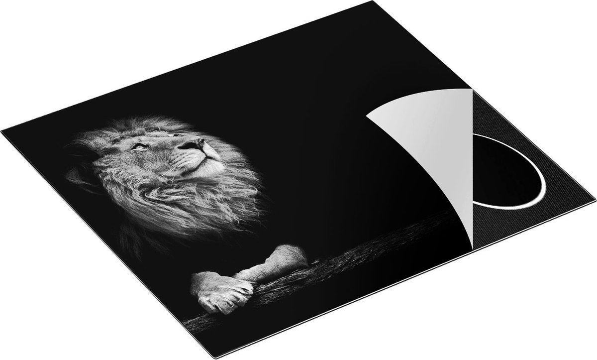 Chefcare Inductie Beschermer Leeuw in het Donker op een Boomstronk - Zwart Wit - 60x50 cm - Afdekplaat Inductie - Kookplaat Beschermer - Inductie Mat