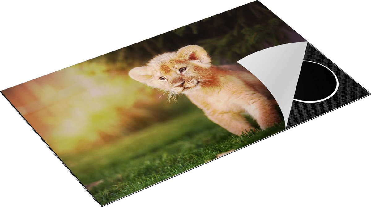 Chefcare Inductie Beschermer Schattige Leeuwen Welp - Baby Leeuw - 85x50 cm - Afdekplaat Inductie - Kookplaat Beschermer - Inductie Mat