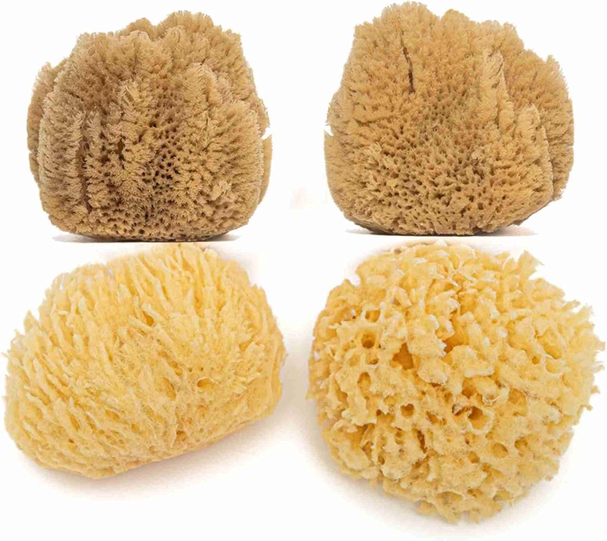 SnelShoppen - Natural Ocean Zeesponzen voor Baby's - Zachte, Natuurlijke Gezichtsreiniging - Hypoallergeen, Herbruikbaar, Maat S (6,5-8,5 cm) - 4 Stuk