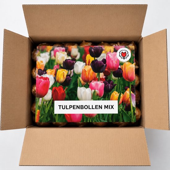 KH Bloembollen - Tulpenbollen Mix 50 stuks – Grootbloemige Tulpen – Maat 11/12 – Kleurenmix Voorjaar