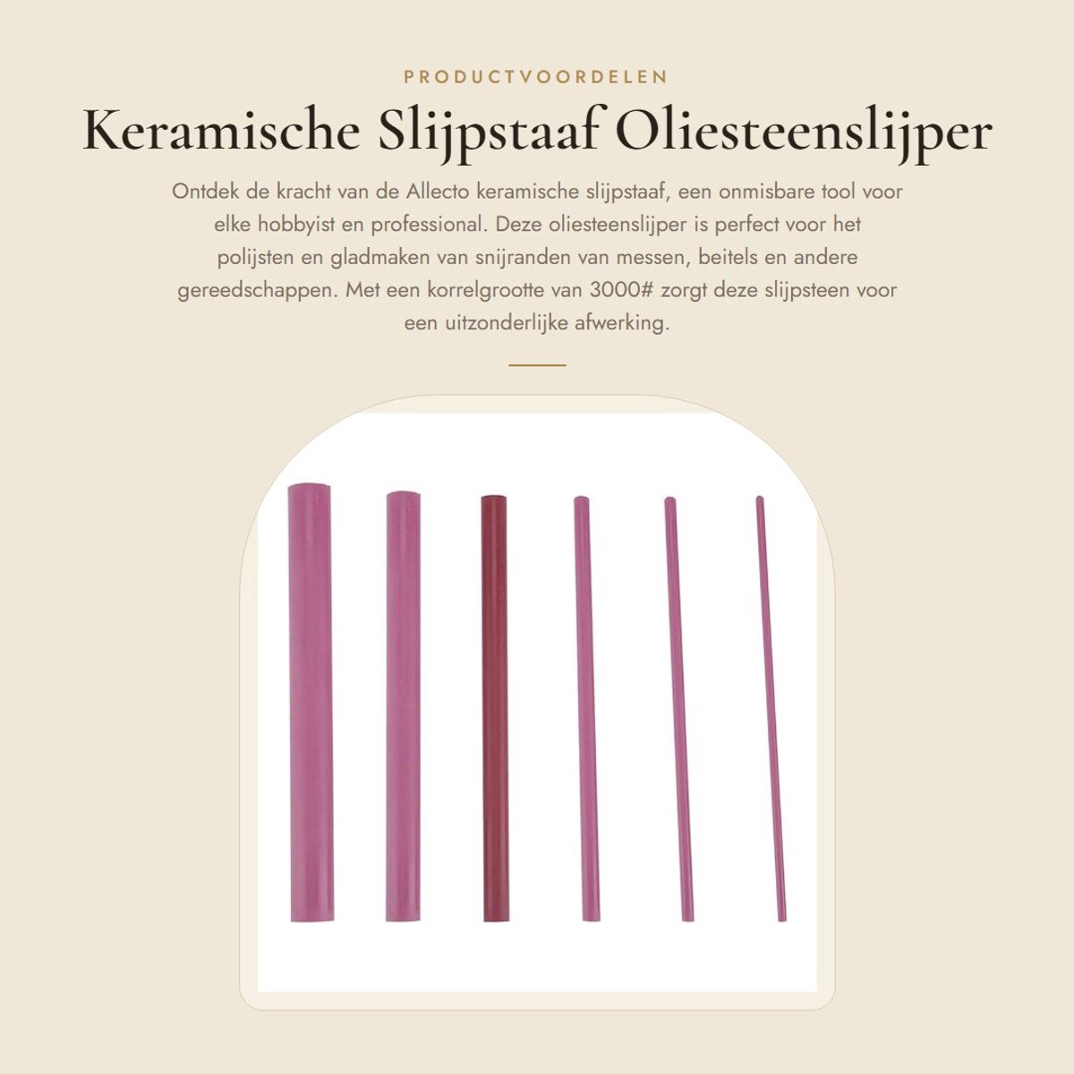 Dailygoods- Slijpstaaf 3000 Grit - Slijpsteen voor Messen - Draagbaar - Lichtgewicht - Polijststeen - Eenvoudig te Vervangen