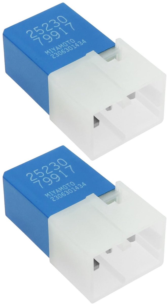 Dailygoods - 2 Stuks 4-Pin Elektrische Relais voor Auto's
